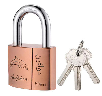 Accesorios de gimnasio de cobre candados resistentes a la intemperie con llave igual con 3 llaves 50mm