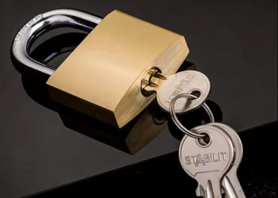 Cerradura de cobre de seguridad de 20 mm de latón pesado a granel ODM