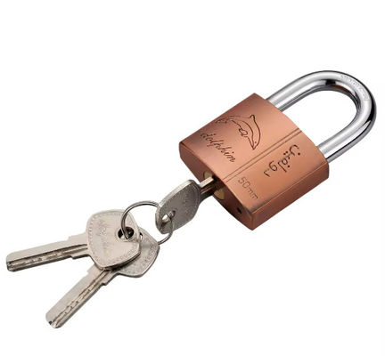 Accesorios de gimnasio de cobre candados resistentes a la intemperie con llave igual con 3 llaves 50mm