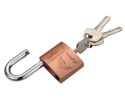 Cerraduras para interiores con llave a prueba de intemperie de hierro rojo bronce